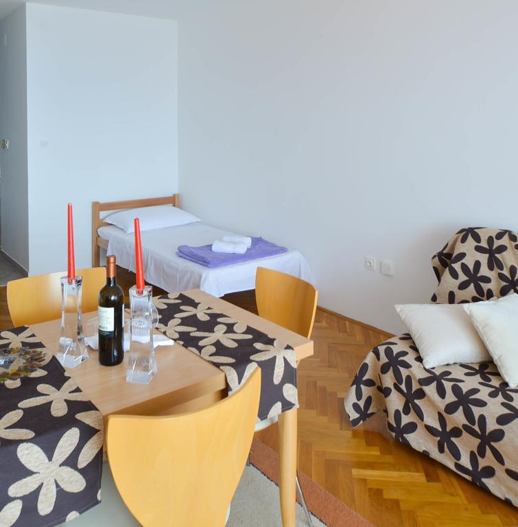 Apartment Natasa ノヴィ・ヴィノドロスキー 部屋 写真